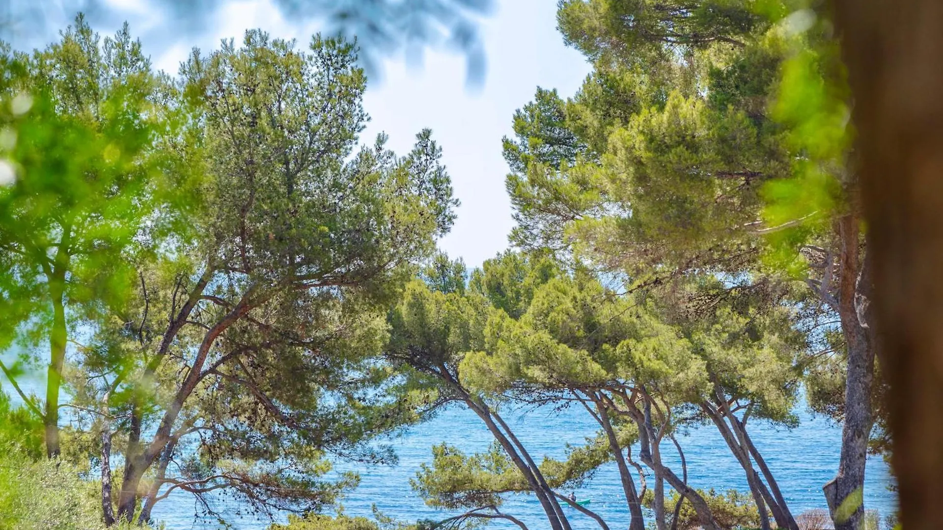 Tokoto Rez De Jardin Vue Mer 0*, La Seyne-sur-Mer