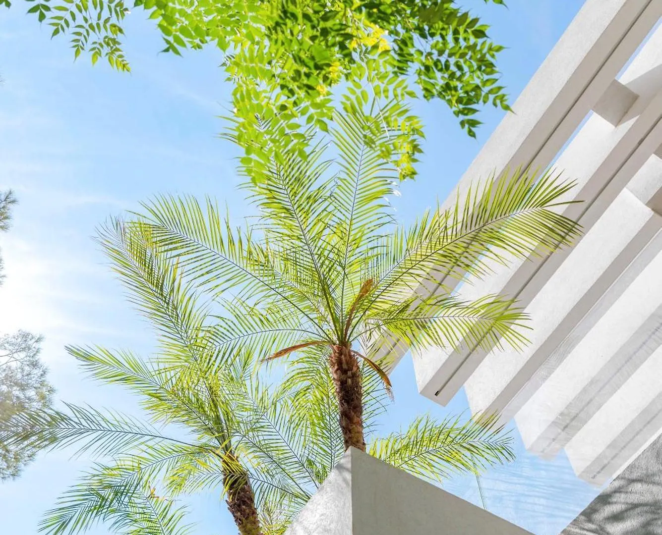 Tokoto Rez De Jardin Vue Mer Apartment